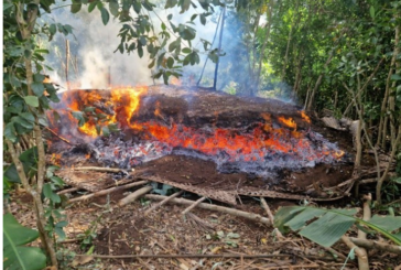 Une charbonnière illégale a été détruite à Mtsangamouji