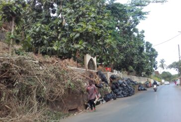 Vous pouvez donner votre avis sur le plan de gestion des déchets de Mayotte