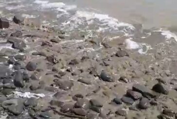 Baie de Bouéni : présence d’un bloom de cyanobactéries, interdiction de baignade et d’activités nautiques pendant 15 jours
