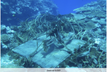 Échouage de dispositifs de concentration de pêche thonière dans le corail à Mayotte