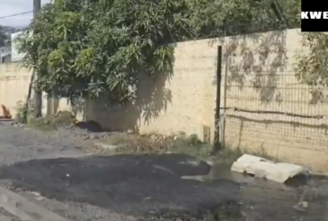 Video du jour : une fuite très importante sur une rampe d’eau à Mamoudzou (video)
