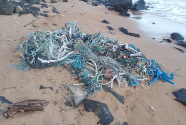 Alerte à la pollution sur la plage de Saziley