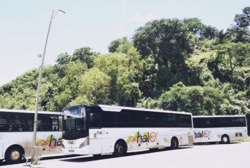 Autocars attaqués à Mayotte : la grève se prépare