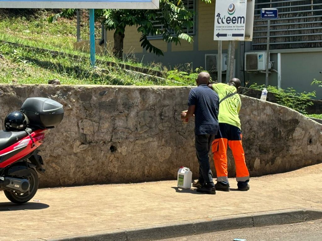 WhatsApp Image 2024 11 12 a 11.07.15 0c3cc45c