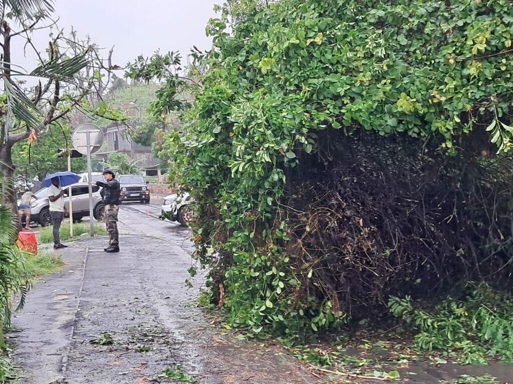 C501EDD6 E6AC 4E73 A319 1BC335C66072