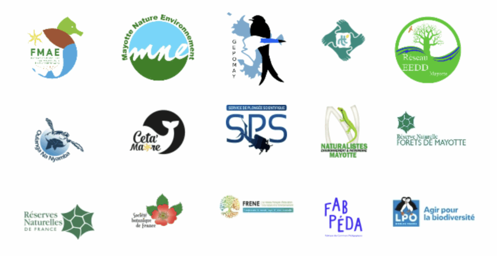 Capture décran 2025 02 12 à 18.15.59