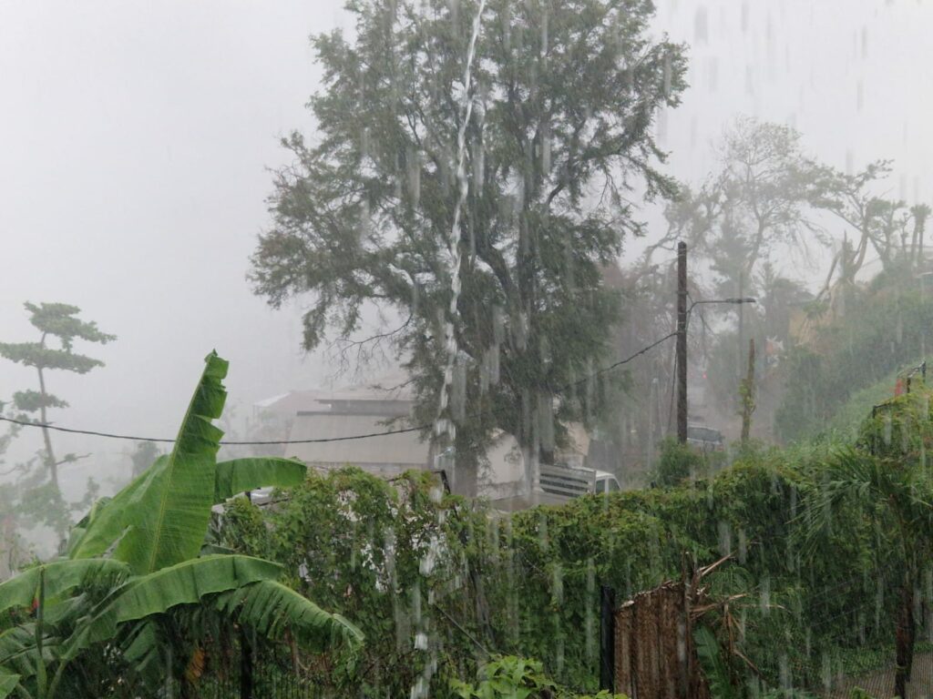 PHOTO 2025 02 01 16 58 24 1