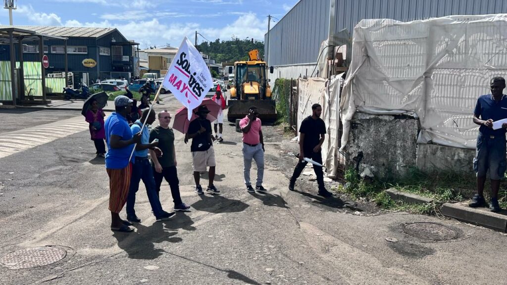 WhatsApp Image 2025 03 11 a 09.40.12 7fb4ddcd