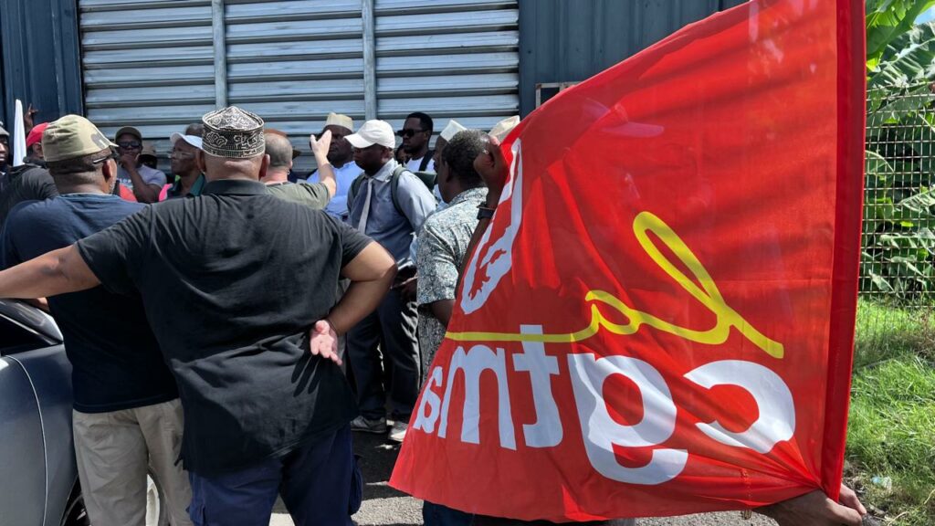 WhatsApp Image 2025 03 11 a 09.40.12 a0b79203