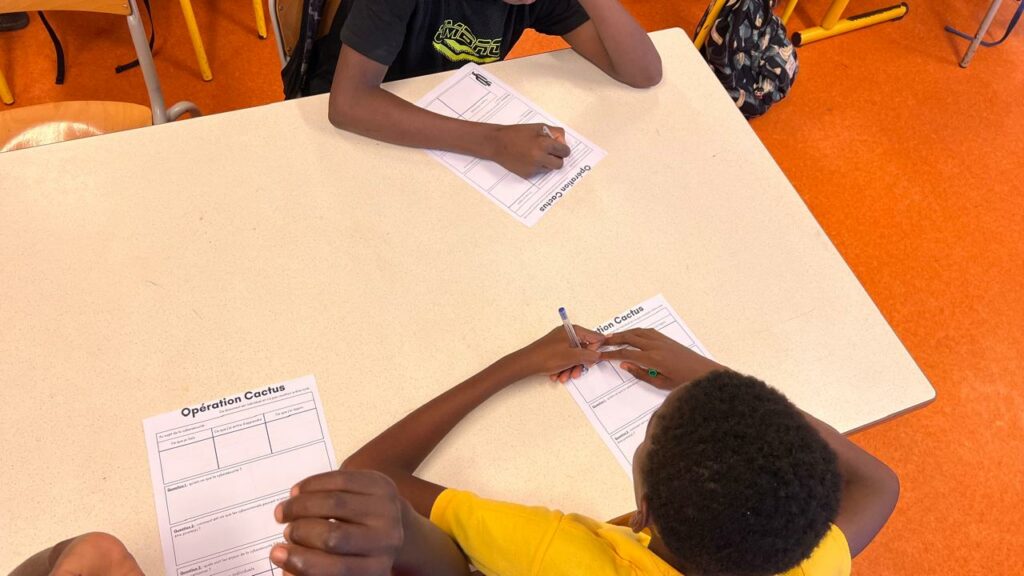 WhatsApp Image 2025 03 27 a 11.43.17 206cfbde