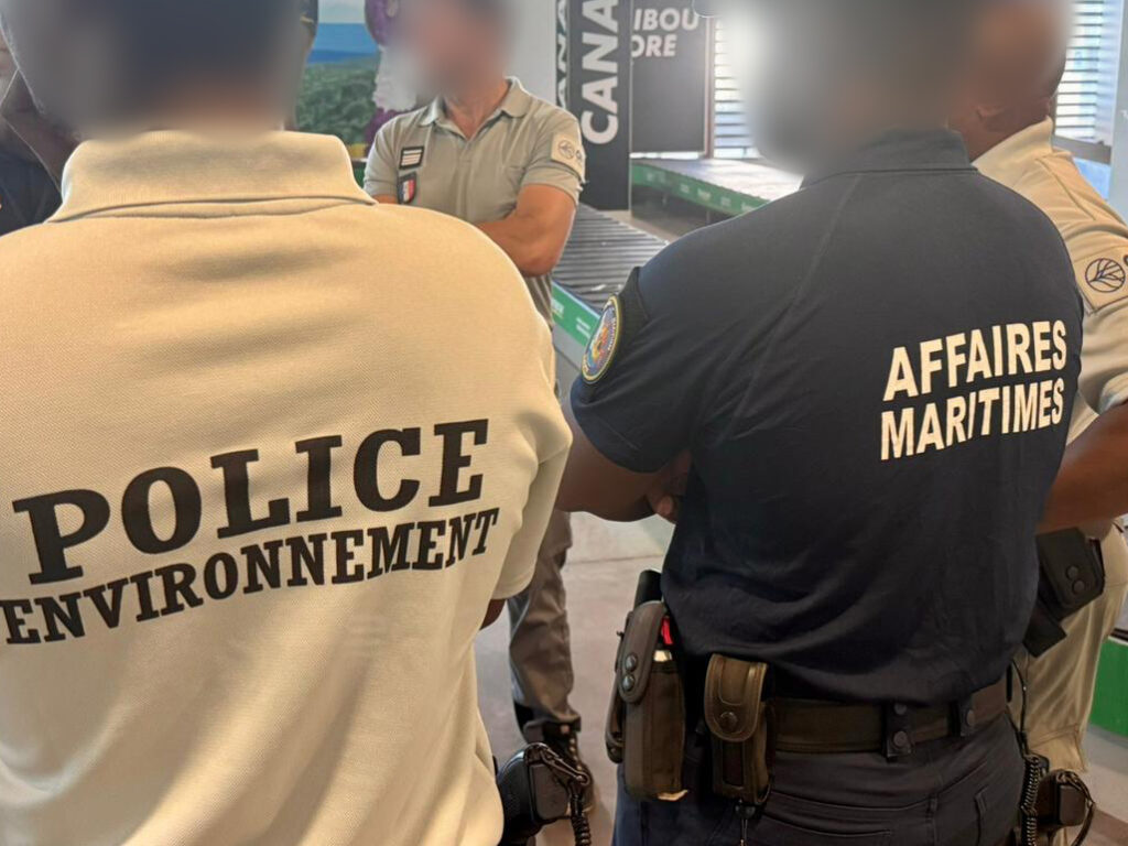 499830290 1098365455654171 1372577482097708973 n