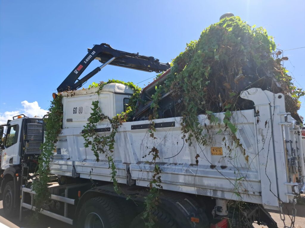 WhatsApp Image 2025 06 19 at 12.18.11