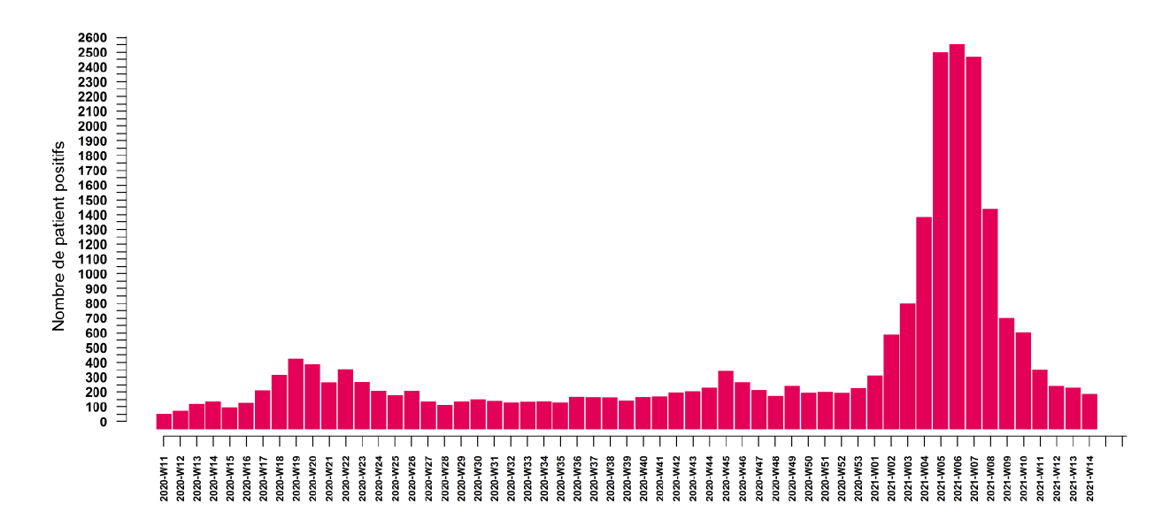 La courbe du Covid à Mayotte continue de baisser