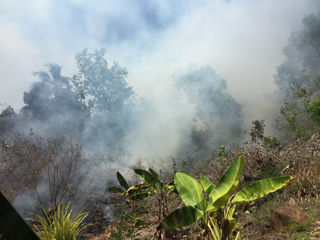 12190286 967382746660458 659226559 o