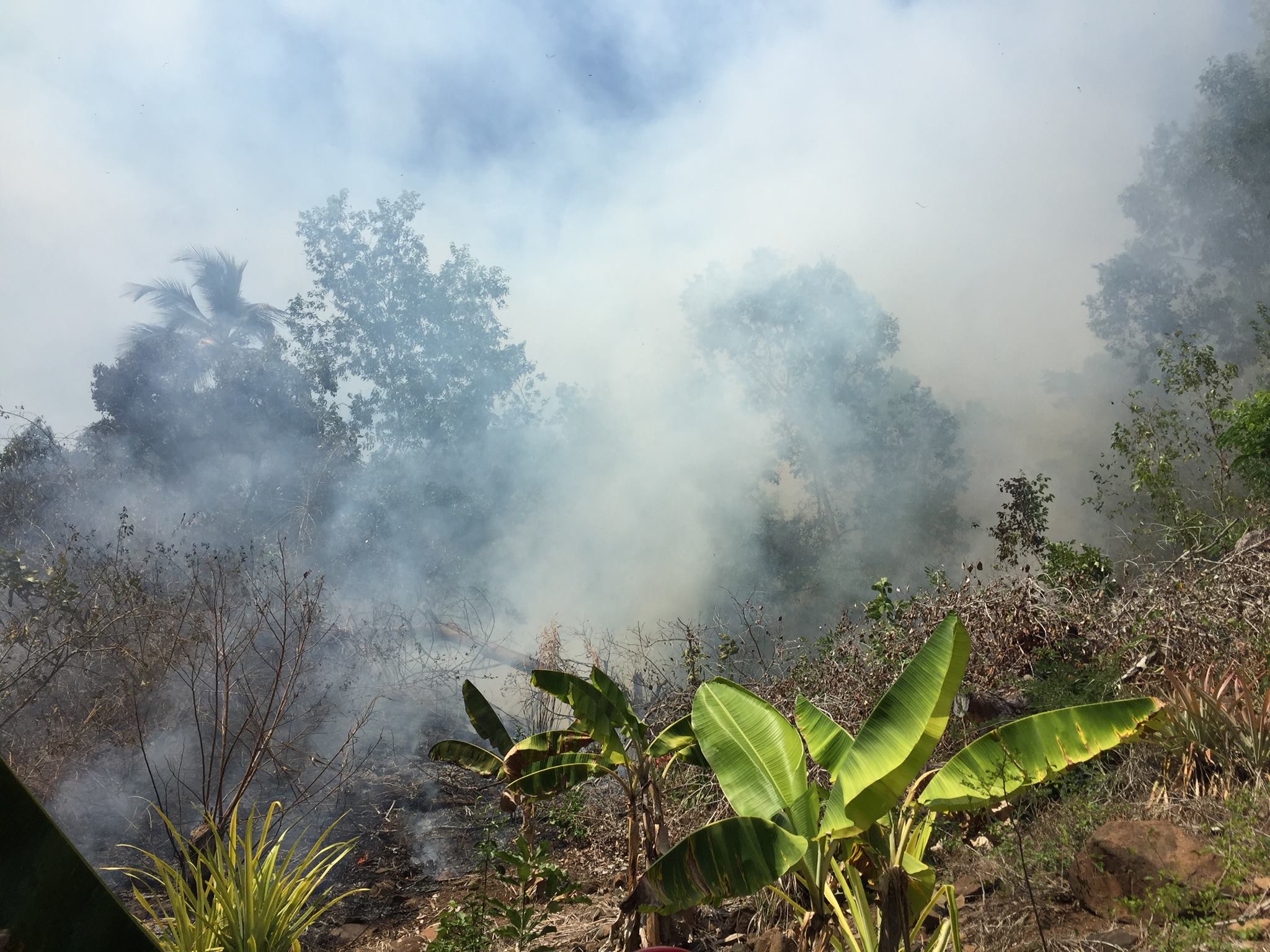Inconscience ou acte de barbarie ?