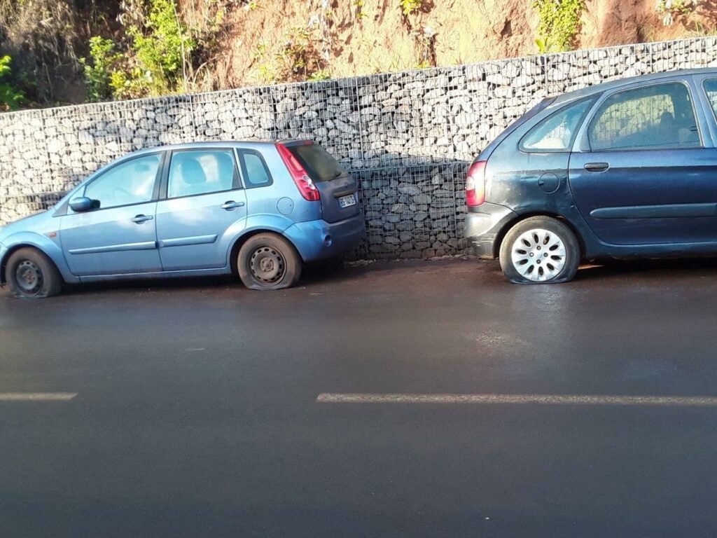 123605379 1661097484070473 5334014354155477612 o