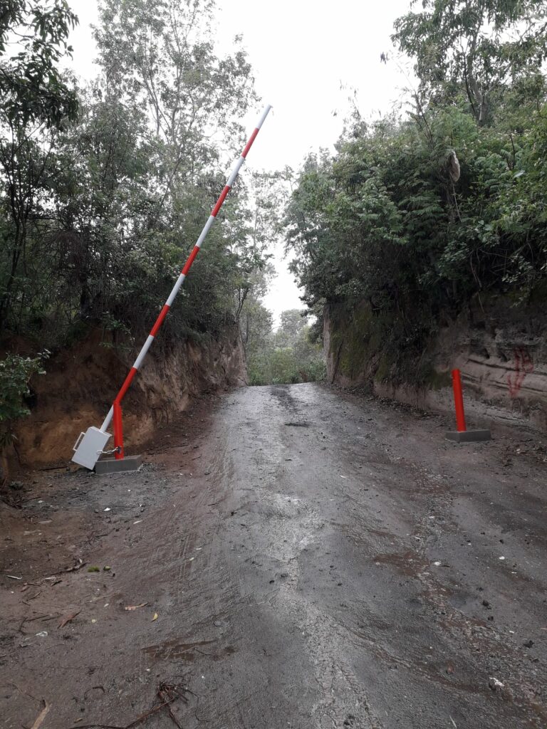 124274507 786688022180440 1497362787931213493 o