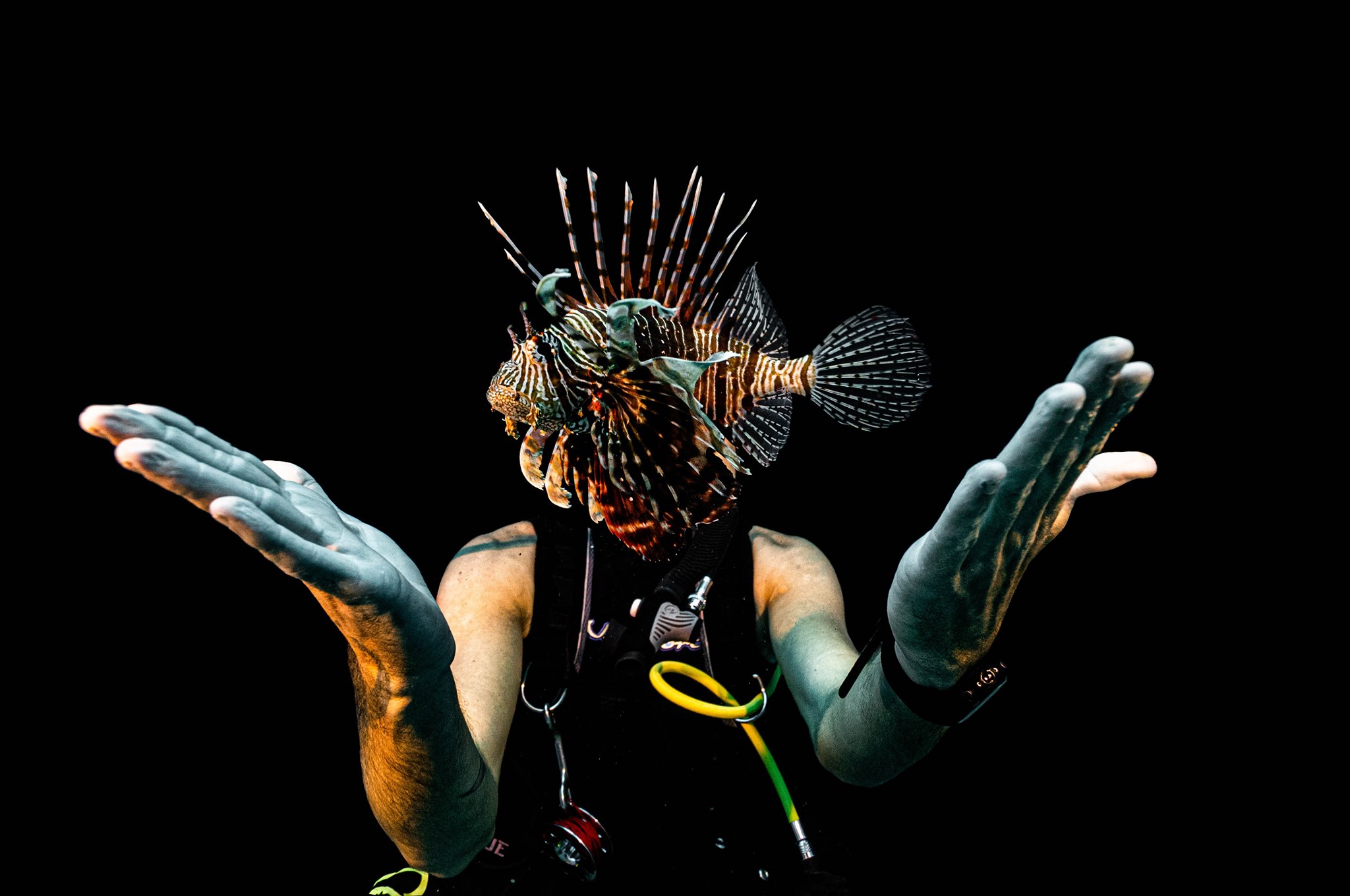 Le palmarès du festival de l’image sous-marine est tombé