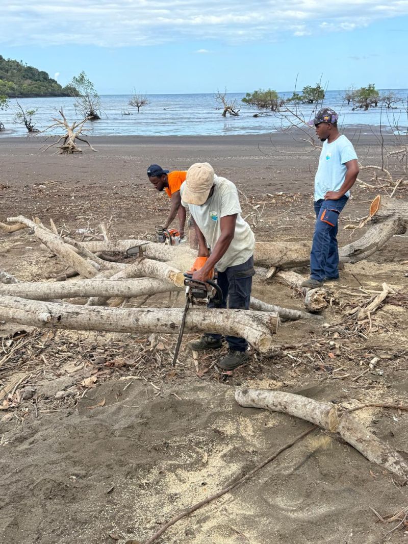 Opération écologique sur le littoral de Mronabéja
