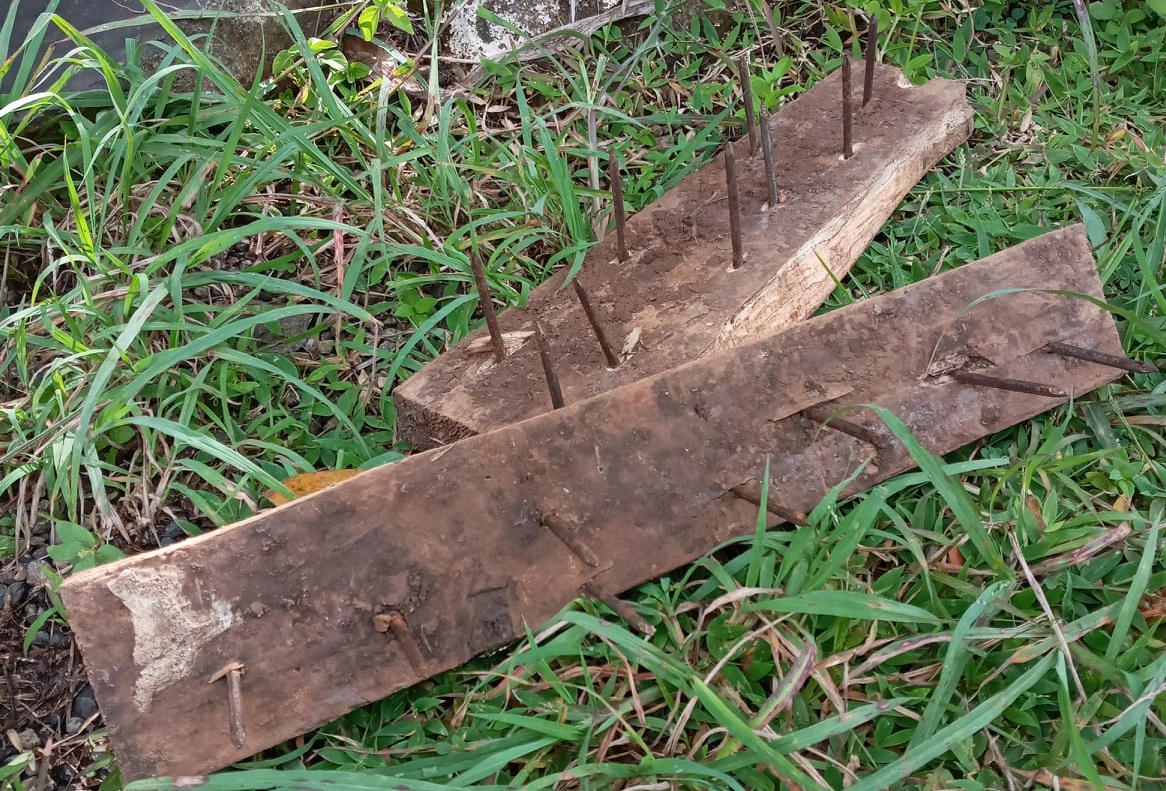 Des planches cloutées contre la réhabilitation des forêts