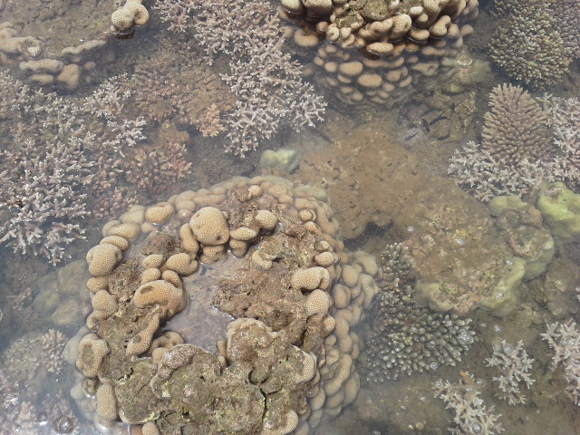 La grande marée est au rendez-vous (3 photos)