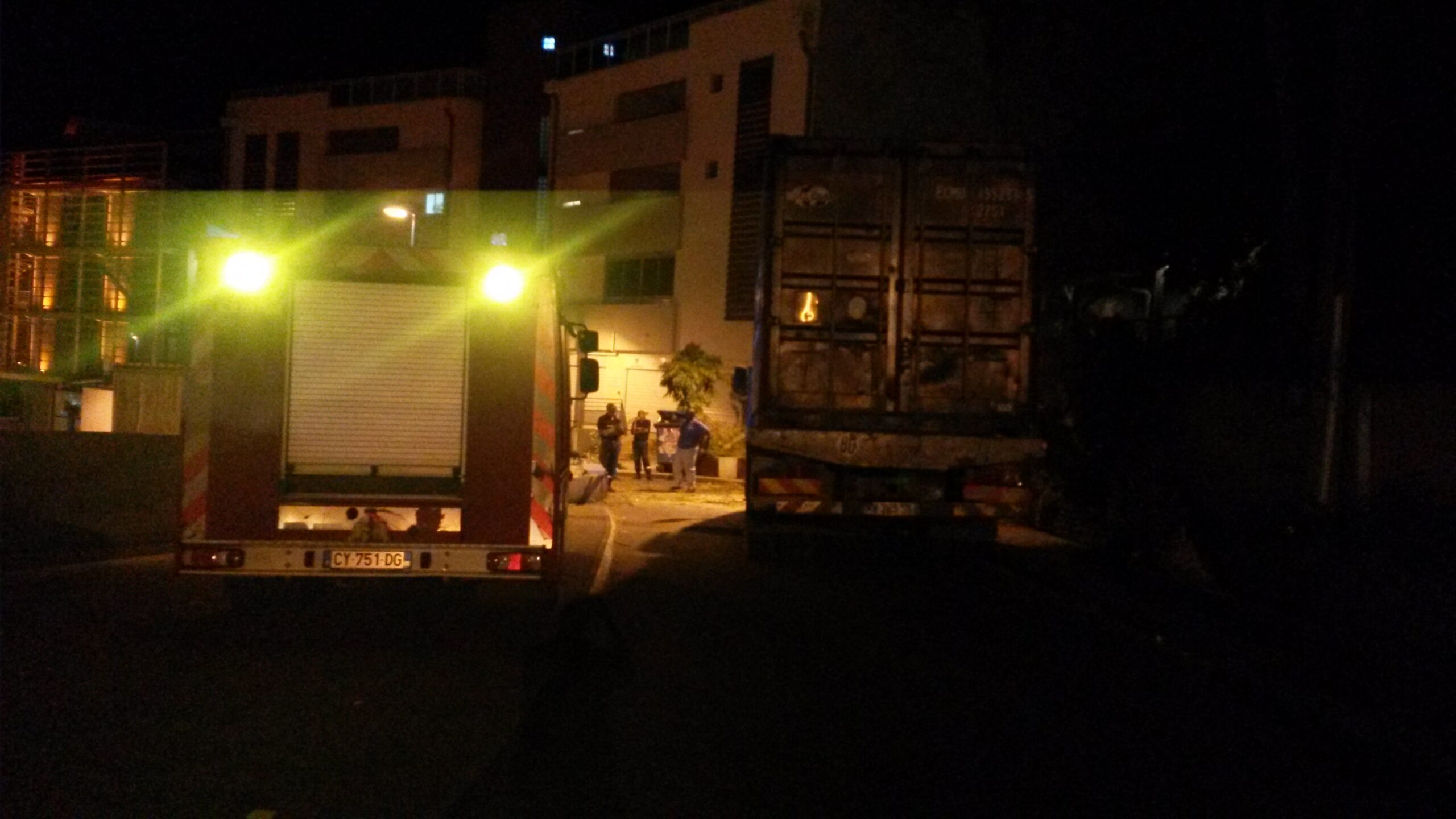 Un camion déracine un arbre (Photos)