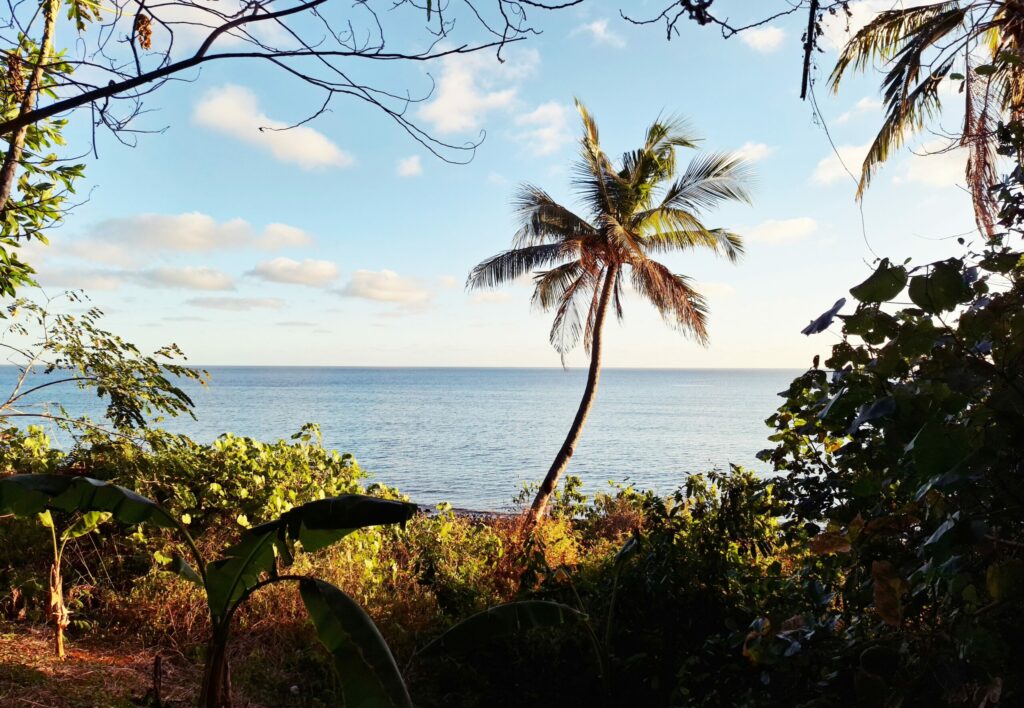 20240629 171510 scaled 1