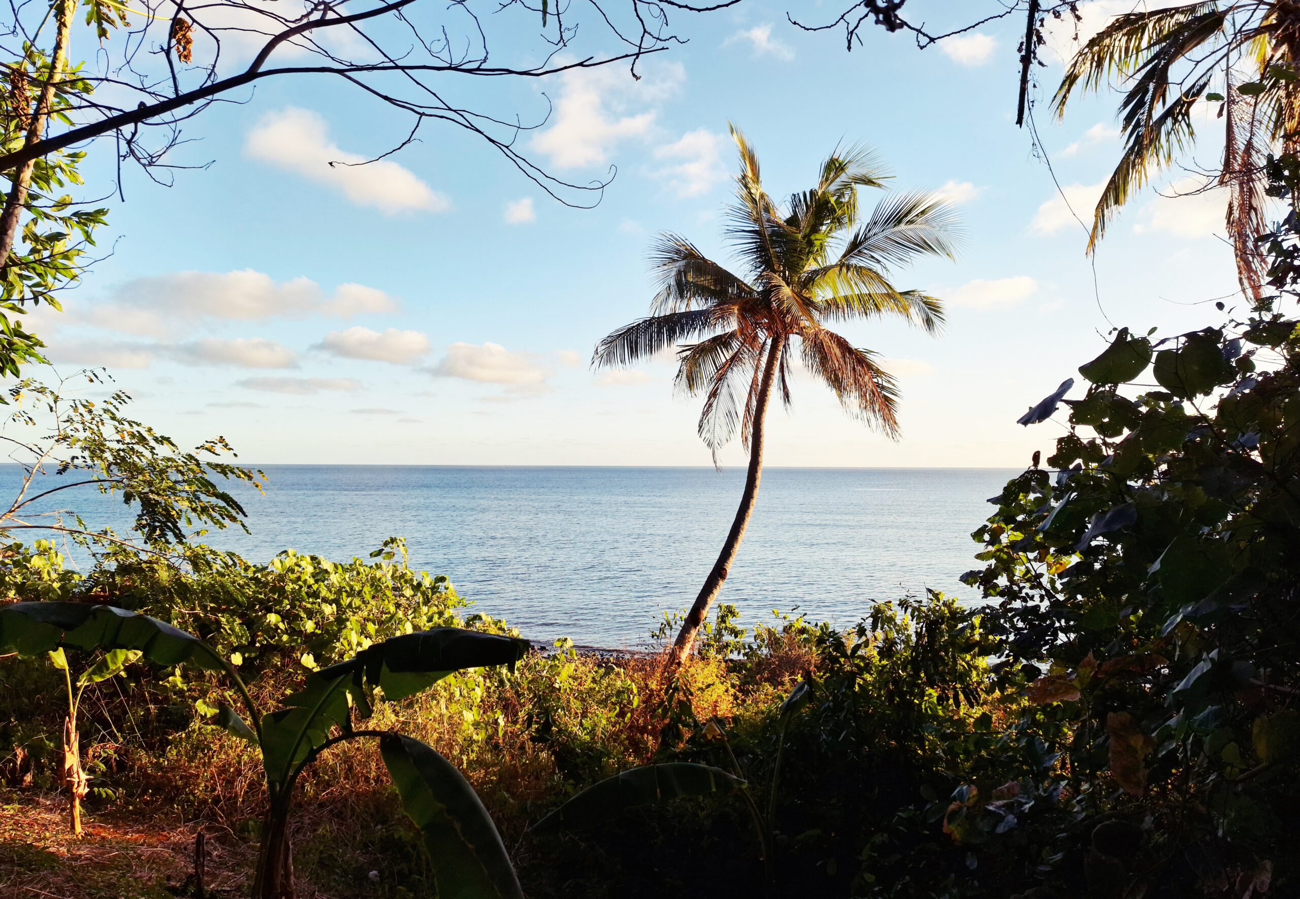 La CCSud organise des balades à la découverte du territoire