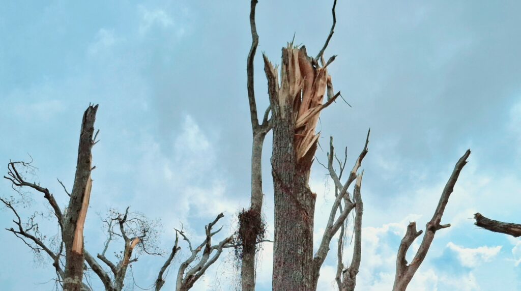 20250119 165344 scaled 1