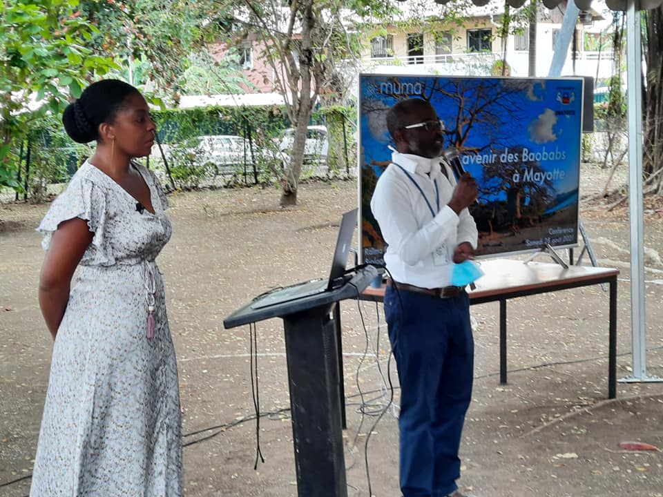 Patrimoine : le baobab en vedette aux samedis du Muma