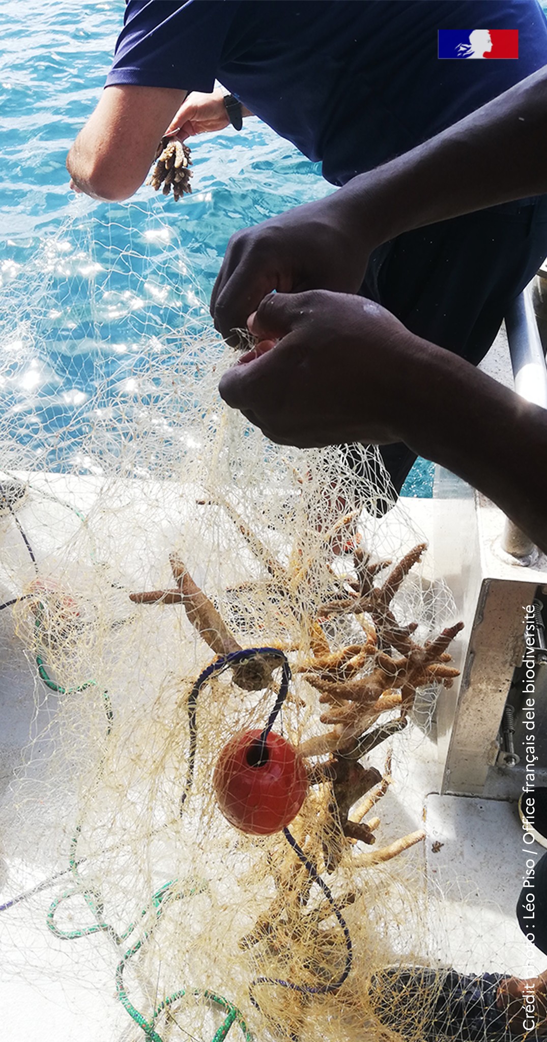 2 filets illégaux découvert à Sada