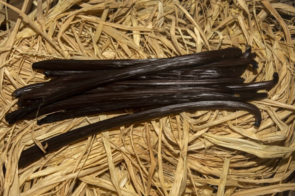 274741243 276715234608771 9085896732495764756 n