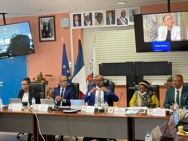 Une séance plénière du conseil départemental qui a évoqué la vague d’insécurité