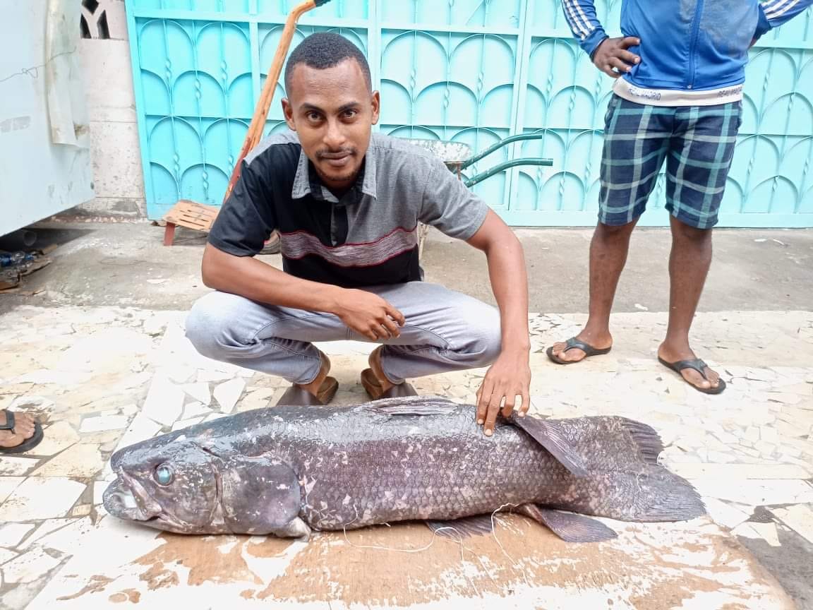 Un Coelacanthe de 30 kilos pêché au large d’Anjouan