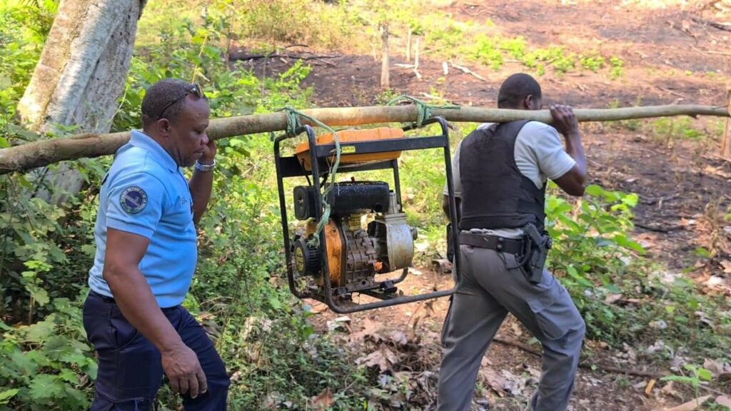 314120410 492512929572763 9001403578743199335 n