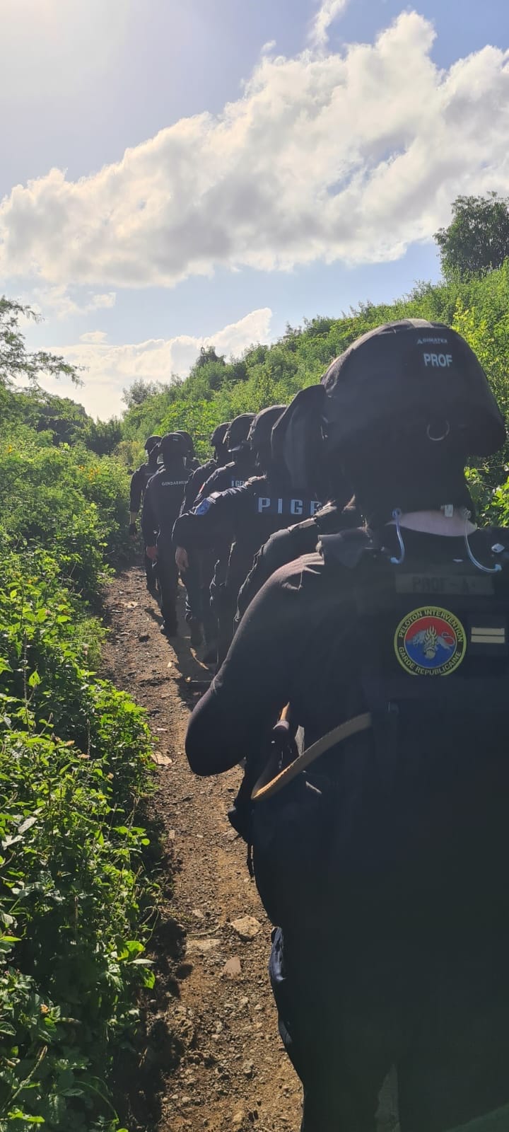 Lutte contre l’agriculture illégale et opération de grande envergure