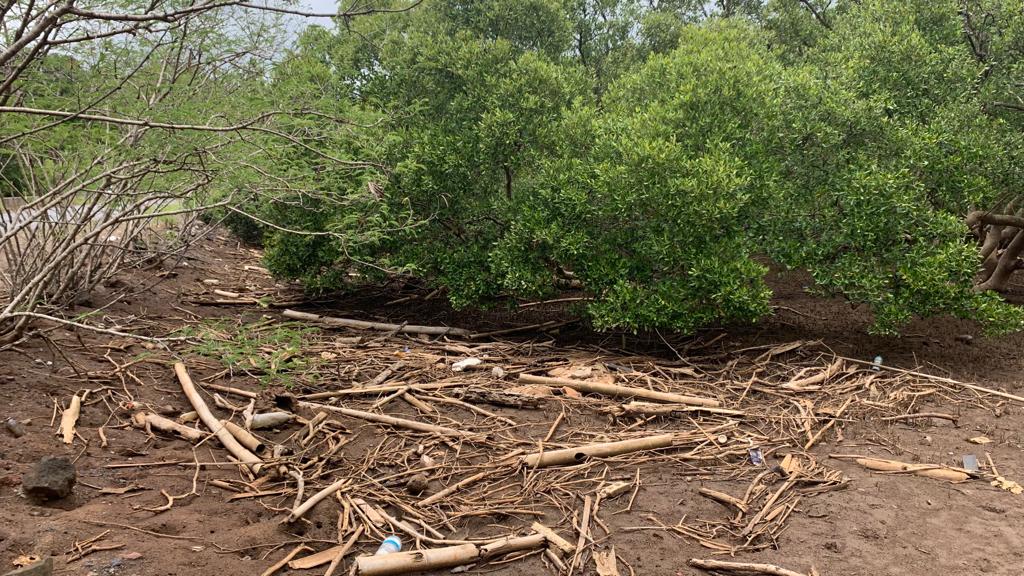 Les enquêteurs cherchent à déterminer l’identité du corps retrouvé dans la mangrove de Mgombani