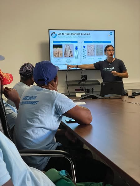 À l’école des tortues pour mieux les sauver