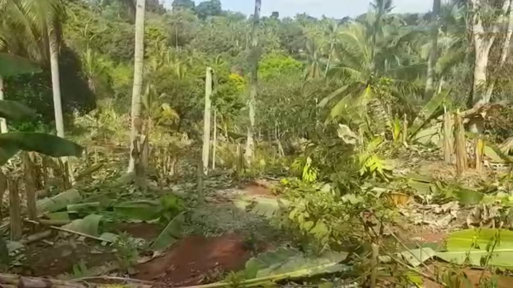 Les 2 hectares du propriétaire ayant tiré sur un voleur hier matin, auraient été saccagés cette nuit (vidéos)
