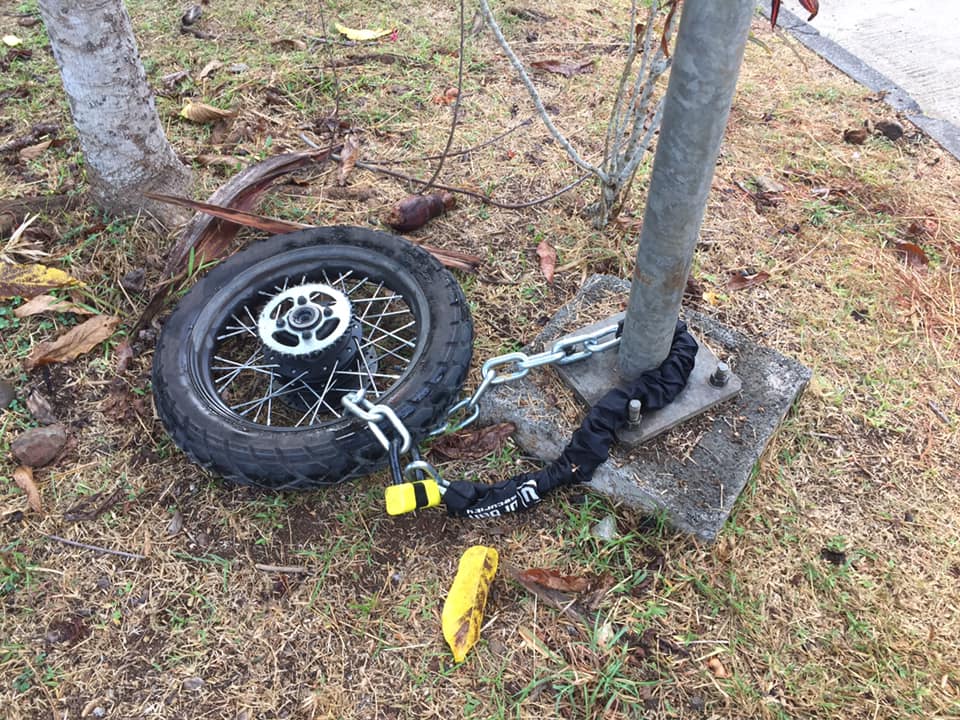 Une nouvelle manière ravageuse