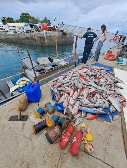 3,5 tonnes de poissons achetés à Madagascar saisis à Mayotte