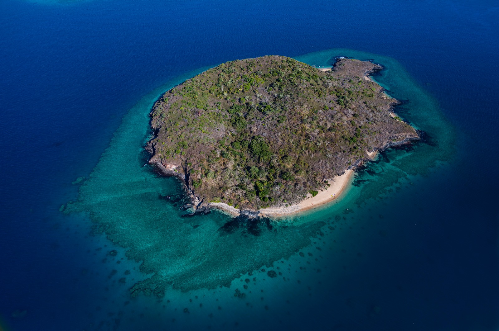 Lancement de la 2ème phase de l’opération de restauration écologique sur l’îlot de Bandrélé