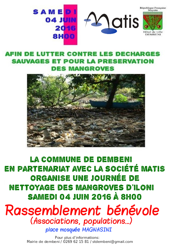 Environnement : opération de nettoyage de la mangrove d’Iloni