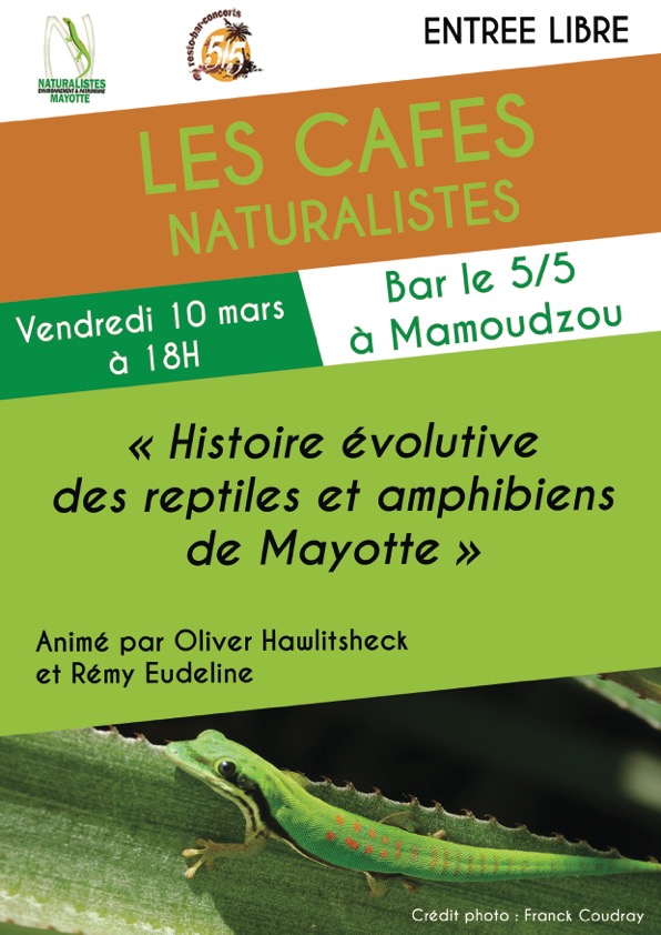 Le prochain “Café Naturaliste” traitera des reptiles et amphibiens de Mayotte