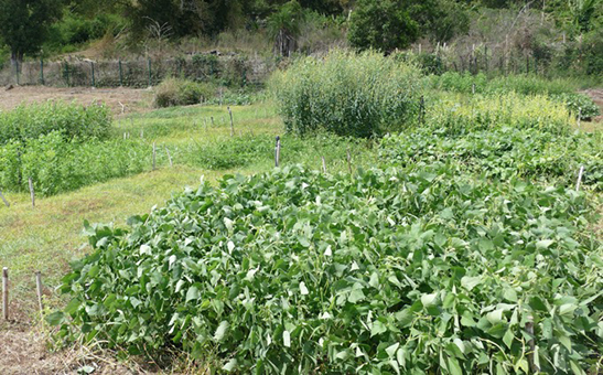 Contrôles d’exploitations agricoles