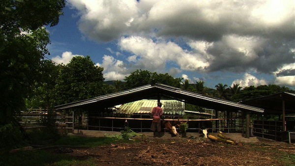 Jeunes agriculteurs dynamiques