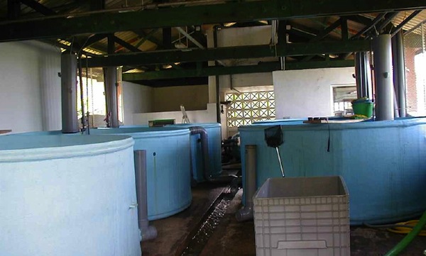 Aquaculture : le Conseil départemental acquiert Aquamay