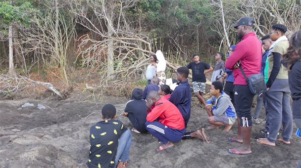 Des collégiens en bivouac à Saziley pour découvrir les tortues marines