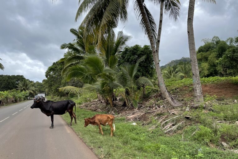 PAC 2025 : Les dossiers de déclaration de surfaces doivent être déposés avant le 15 mai pour éviter les pénalités