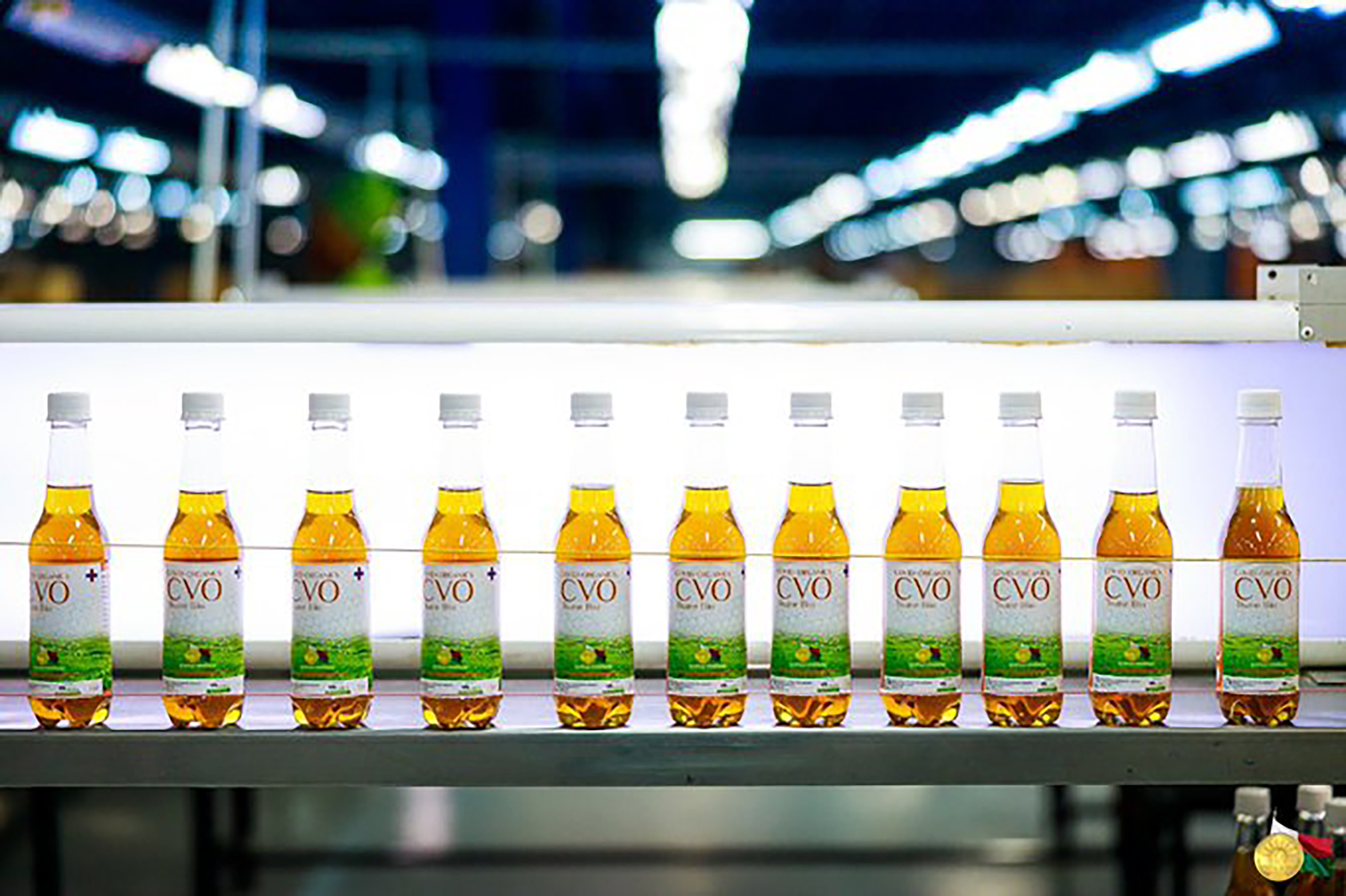 Madagascar alimente l’Afrique de son produit miracle le CVO